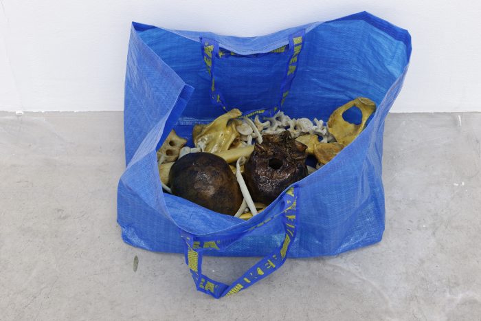 Collaboration with Puppies Puppies, Human Bones in Ikea Bag (blue) (yellow) (green), 2016, 45 x 45 x 18 cm (17 ¾ x 17 ¾ x 7 inches)