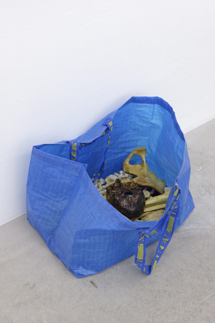 Collaboration with Puppies Puppies, Human Bones in Ikea Bag (blue) (yellow) (green), 2016, 45 x 45 x 18 cm (17 ¾ x 17 ¾ x 7 inches)